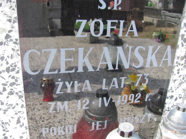Zygmunt Czekański 1910 Mińsk Mazowiecki - Grobonet - Wyszukiwarka osób pochowanych