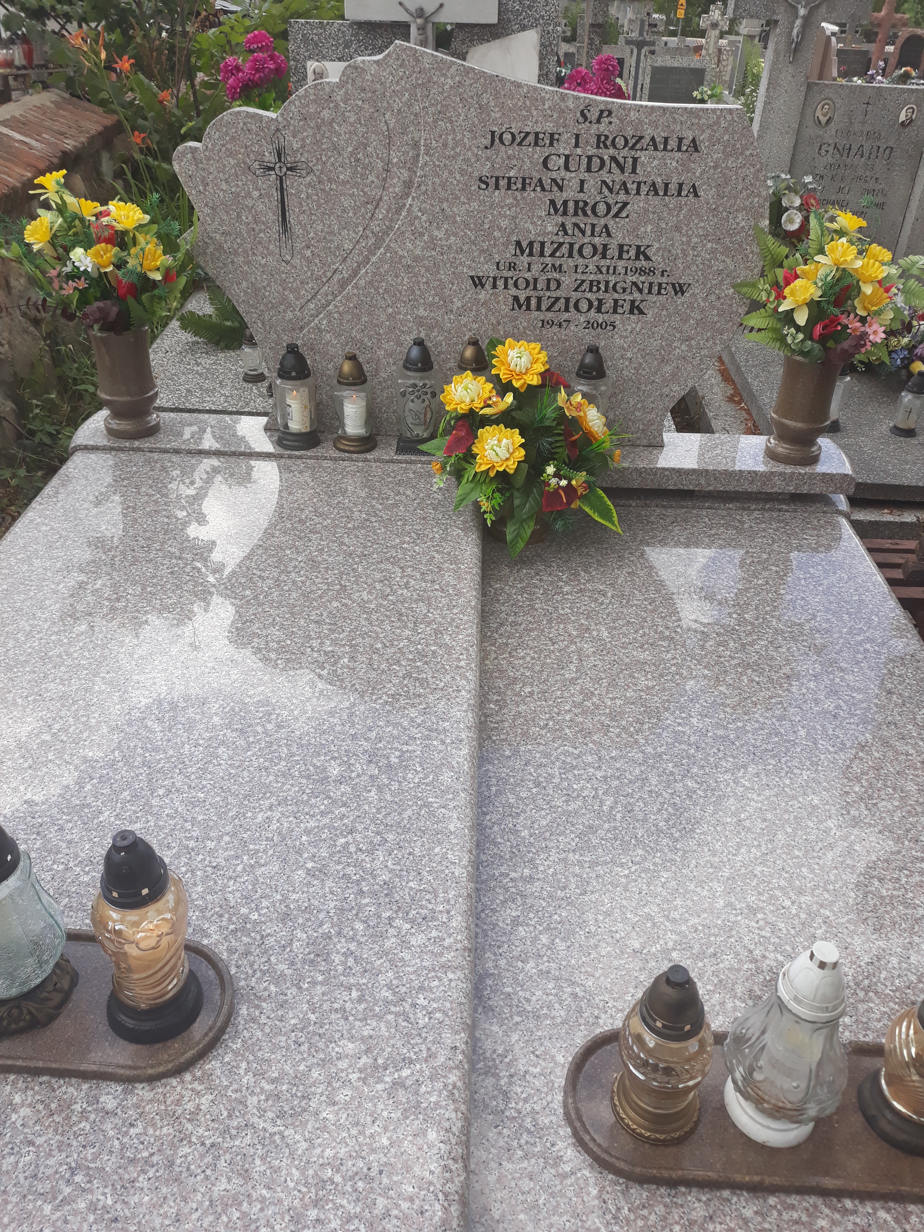 Natalia Mróz Mińsk Mazowiecki - Grobonet - Wyszukiwarka osób pochowanych