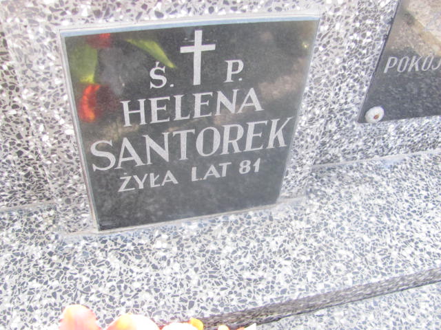 Kazimierz Kupa Mińsk Mazowiecki - Grobonet - Wyszukiwarka osób pochowanych