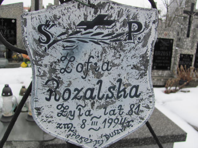 Jan Rozalski 1910 Mińsk Mazowiecki - Grobonet - Wyszukiwarka osób pochowanych