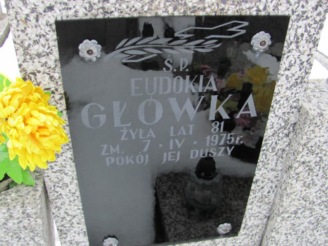 Antoni Główka 1894 Mińsk Mazowiecki - Grobonet - Wyszukiwarka osób pochowanych