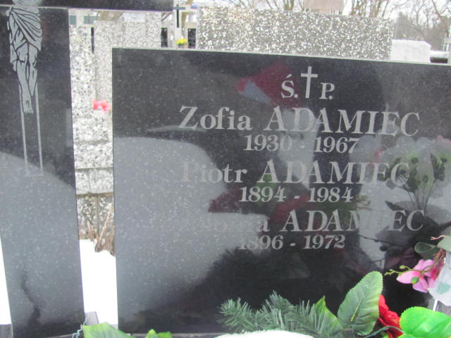 Apolonia Adamiec 1896 Mińsk Mazowiecki - Grobonet - Wyszukiwarka osób pochowanych