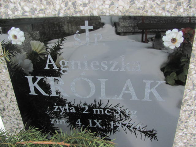 Wiesława Królak 1933 Mińsk Mazowiecki - Grobonet - Wyszukiwarka osób pochowanych