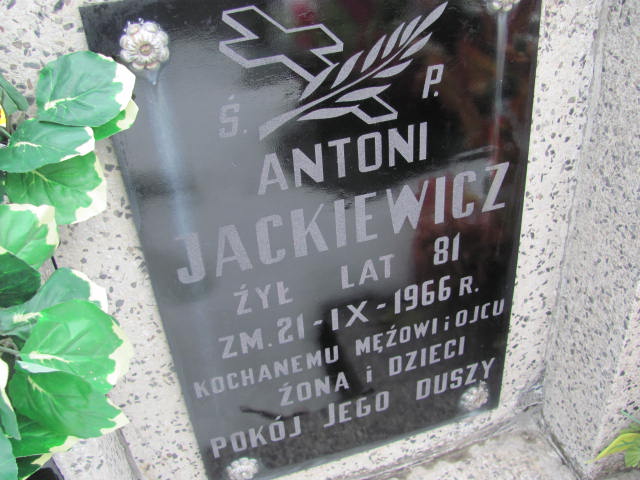 Antoni Jackiewicz 1885 Mińsk Mazowiecki - Grobonet - Wyszukiwarka osób pochowanych