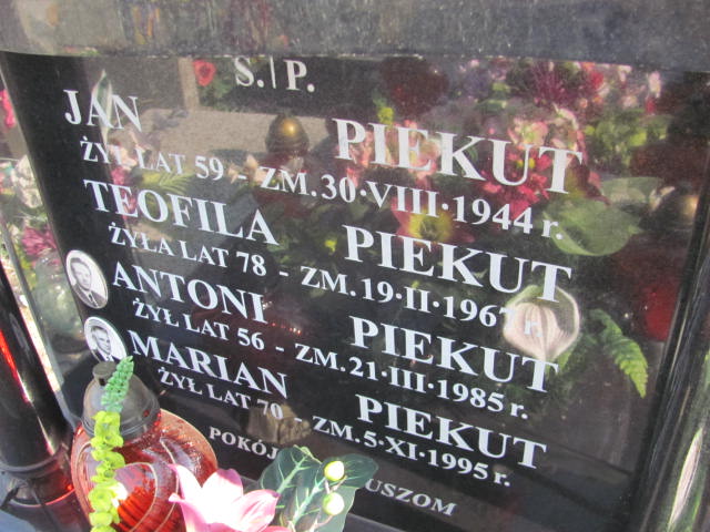 Antoni Piekut Mińsk Mazowiecki - Grobonet - Wyszukiwarka osób pochowanych