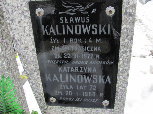 Sławomir Kalinowski 1975 Mińsk Mazowiecki parafialny - Grobonet - Wyszukiwarka osób pochowanych