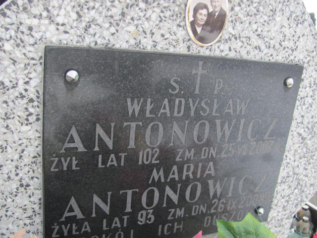 Grób Władysław Antonowicz