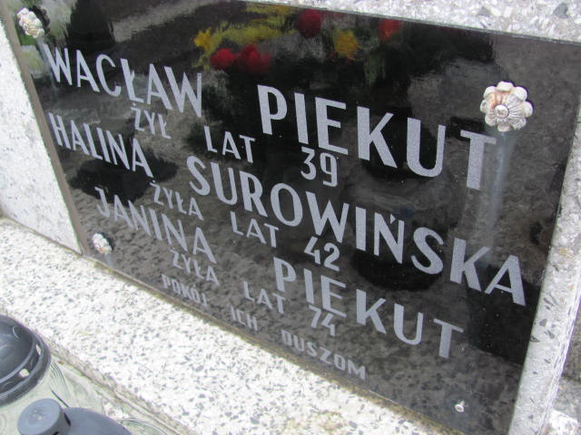 Janina Piekut 1910 Mińsk Mazowiecki - Grobonet - Wyszukiwarka osób pochowanych