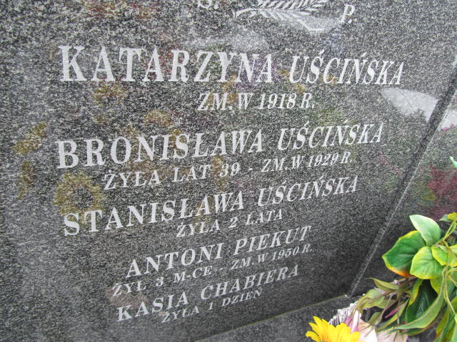 Antoni Piekut Mińsk Mazowiecki - Grobonet - Wyszukiwarka osób pochowanych