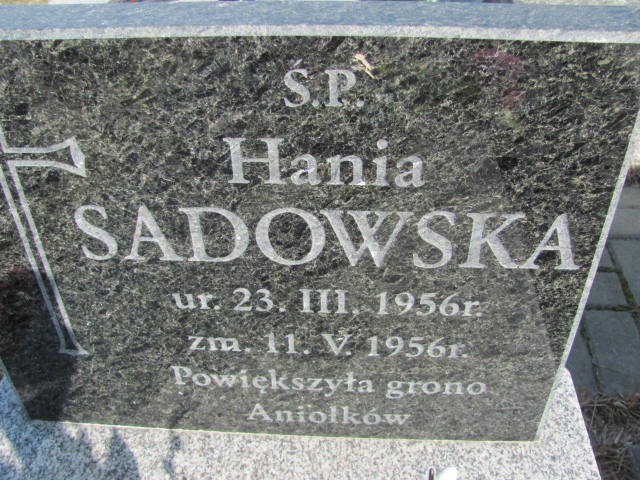 Hanna Sadowska 1956 Mińsk Mazowiecki - Grobonet - Wyszukiwarka osób pochowanych
