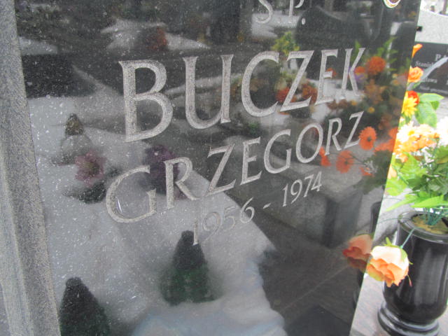 Włodzimierz Lewandowski 1954 Mińsk Mazowiecki - Grobonet - Wyszukiwarka osób pochowanych