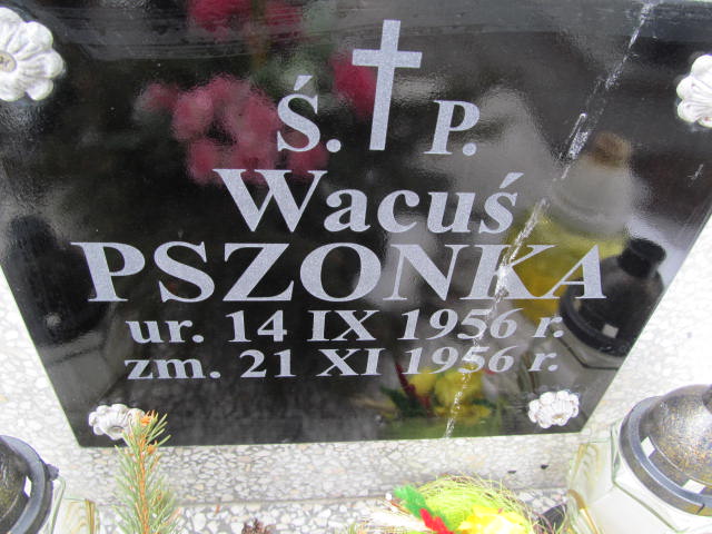 Wacław Pszonka 1956 Mińsk Mazowiecki parafialny - Grobonet - Wyszukiwarka osób pochowanych