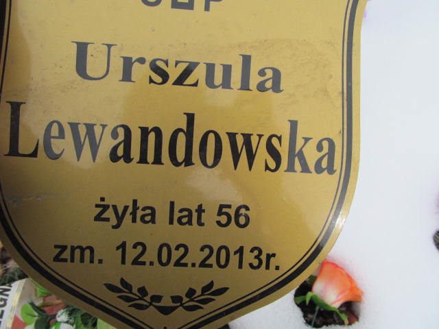 Zbigniew Lewandowski Mińsk Mazowiecki - Grobonet - Wyszukiwarka osób pochowanych