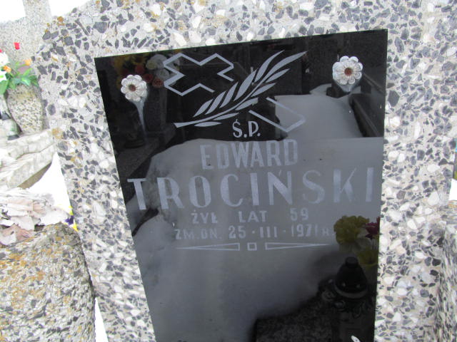 Edward Trociński 1911 Mińsk Mazowiecki - Grobonet - Wyszukiwarka osób pochowanych